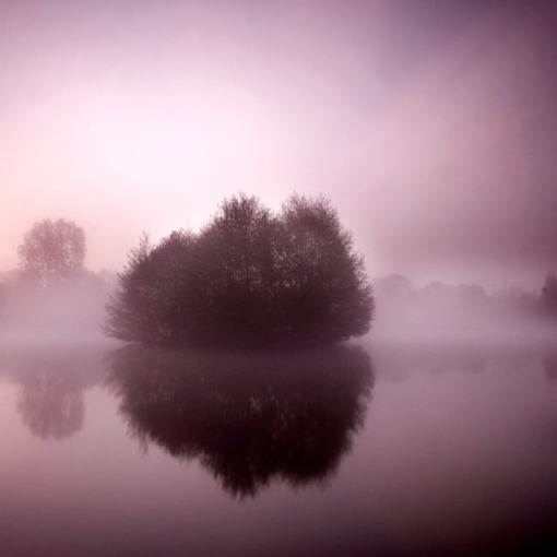 Reflet et brouillard par Patrick Dagonnot